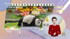 青青草伊人